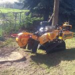 Stump Grinding vs. Stump Removal: What’s the Difference?